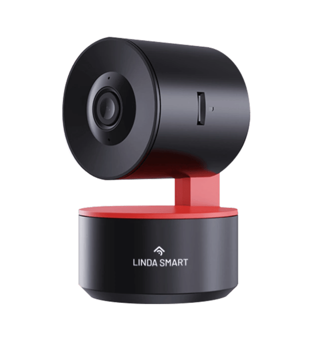 Cámara Interior PTZ Smart Wi-Fi